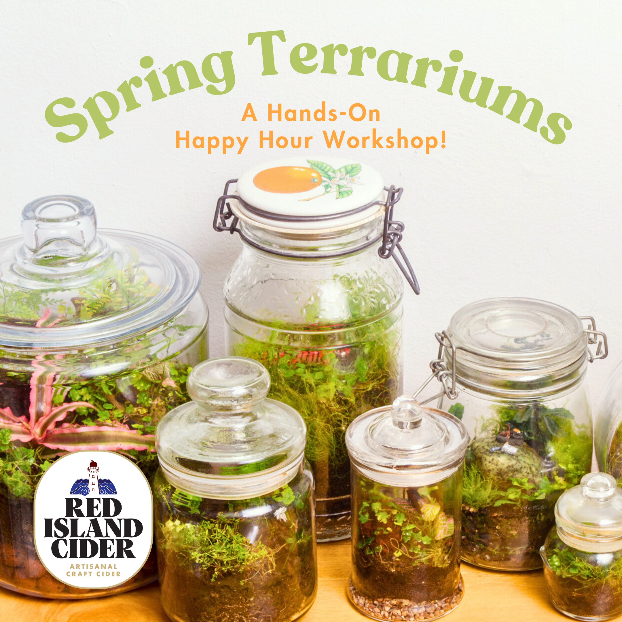 March 29: Spring Terrariums